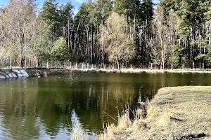 участок по адресу с. Мотыжин, 