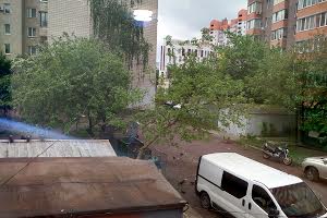 комерційна за адресою Київська вул., 29