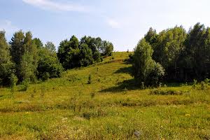 ділянка за адресою с. Підгірці, Садовая, 8