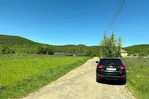 участок по адресу Рибна