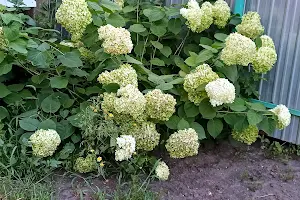 будинок за адресою Першотравнева вул.