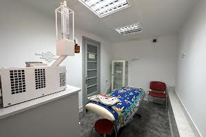 комерційна за адресою Олександра Богомольця вул., 10