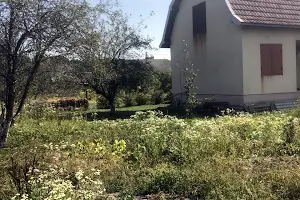 будинок за адресою Товариство Освітяни, 66