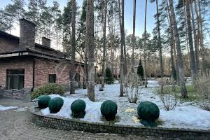 будинок за адресою бучанський