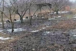 участок по адресу Оскільська