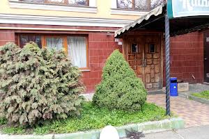 комерційна за адресою Добровольців вул. (Маршала Говорова), 10в