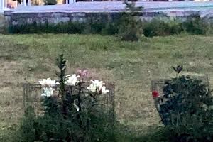 дом по адресу Котляревського