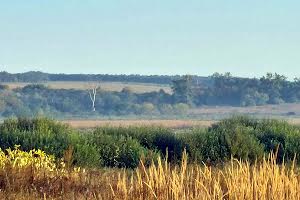 ділянка за адресою Білогородська сільська рада