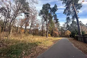 ділянка за адресою Ірпінь, Чайковського