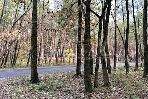 дом по адресу Бориспільський