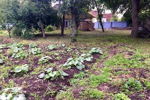участок по адресу Колгоспна, 32