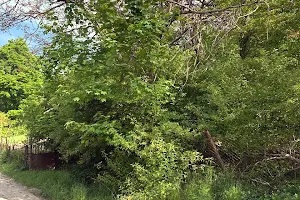 ділянка за адресою Львів, Хмельницького  вул.