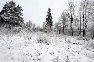 дом по адресу Центральна, 11А