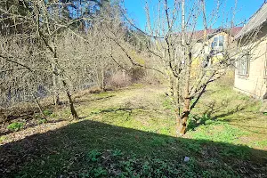 дом по адресу Лісна