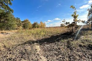 ділянка за адресою с. Михайлівка-Рубежівка, Вишнева