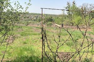дом по адресу Новоолешковская ул.