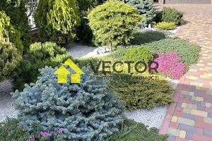 будинок за адресою Центральна вул., 53