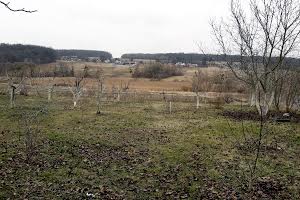 дом по адресу пгт. Вороновица, Сорочинська