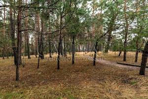 будинок за адресою центральна
