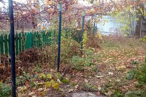 дом по адресу Рибальська, 12