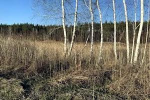 участок по адресу Старообухівська ул.