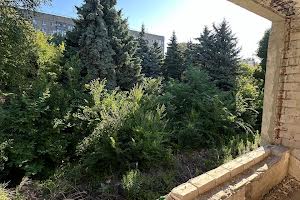 комерційна за адресою Новокримська вул., 43