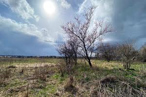 ділянка за адресою Ворошилова