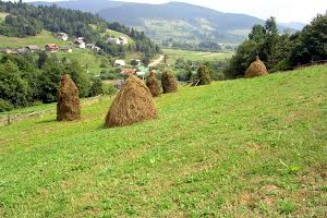 участок по адресу с. Старый Крапивник, 