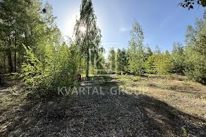 участок по адресу с. Дмитровка, північна, 1