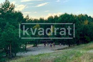 будинок за адресою Лісова вул.