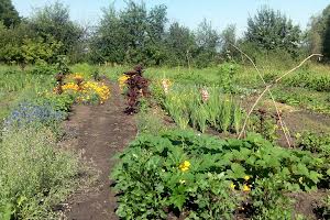 ділянка за адресою с. Масківці, Шевченка, 20А