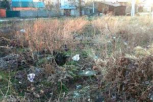 ділянка за адресою Петра Полтави вул. (Богомаза)