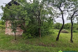 ділянка за адресою с. Павлівка, ст житловик