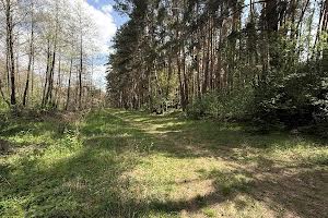 ділянка за адресою Слобідська вул., 15