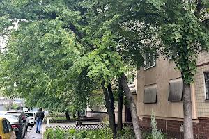 квартира по адресу Янтарная ул., 79а