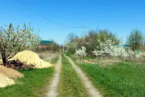 участок по адресу Сільська