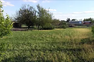 ділянка за адресою Веселки