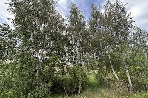 участок по адресу Луговая ул.