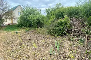 ділянка за адресою Центральна вул.