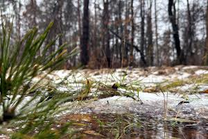 участок по адресу Котляревського, 53
