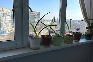 квартира по адресу Ремесленная ул., 19