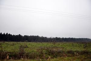 ділянка за адресою с. Старі Богородчани, 