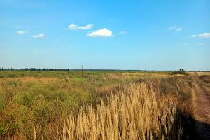 ділянка за адресою Село Щасливе