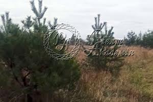 участок по адресу геофізики, 11