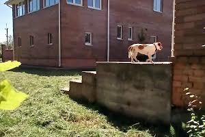 дом по адресу Столичная ул.
