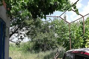 будинок за адресою Татарбунари, Героїв України вул. (Горького)