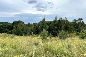 участок по адресу Лісова
