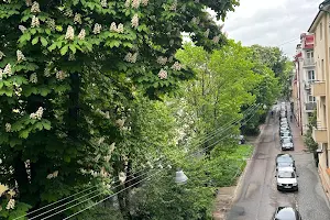 квартира за адресою Тютюнників вул. (), 10