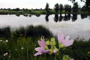 будинок за адресою Млынище