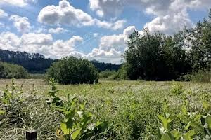 ділянка за адресою центральна, 1